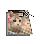 子猫のポノくんLINEスタンプ（個別スタンプ：13）