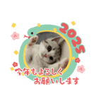 子猫のポノくんLINEスタンプ（個別スタンプ：16）