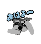 シュナだらけスタンプ（個別スタンプ：2）