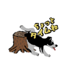 シュナだらけスタンプ（個別スタンプ：22）
