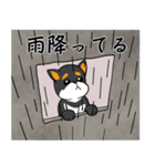 黒柴犬のつぶやき（個別スタンプ：12）