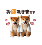 年中使える♡柴犬（個別スタンプ：3）