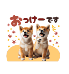 年中使える♡柴犬（個別スタンプ：12）