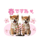 年中使える♡柴犬（個別スタンプ：21）