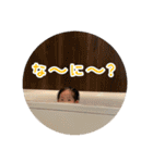 えなスタンプ2025（個別スタンプ：14）