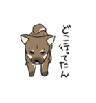 上目遣いの犬（個別スタンプ：4）