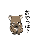 上目遣いの犬（個別スタンプ：5）