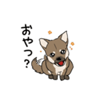 上目遣いの犬（個別スタンプ：6）