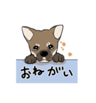 上目遣いの犬（個別スタンプ：7）