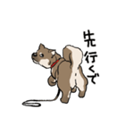 上目遣いの犬（個別スタンプ：27）