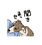 上目遣いの犬（個別スタンプ：32）