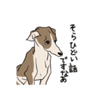 上目遣いの犬（個別スタンプ：36）