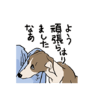 上目遣いの犬（個別スタンプ：39）