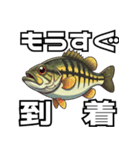 ブラックバスとその仲間たち（個別スタンプ：5）