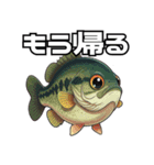 ブラックバスとその仲間たち（個別スタンプ：6）