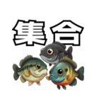 ブラックバスとその仲間たち（個別スタンプ：16）