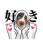 かなゆぬさ（個別スタンプ：6）