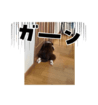 かなゆぬさ（個別スタンプ：7）