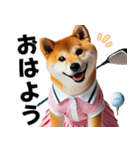 ゴルフしば犬女子（個別スタンプ：12）