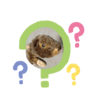 【もさく】（個別スタンプ：13）