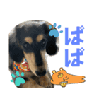【もさく】（個別スタンプ：16）