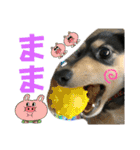 【もさく】（個別スタンプ：17）