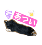 【もさく】（個別スタンプ：18）