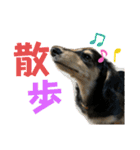 【もさく】（個別スタンプ：19）