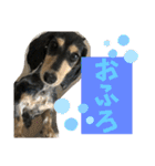 【もさく】（個別スタンプ：21）