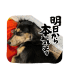 【もさく】（個別スタンプ：26）