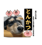 【もさく】（個別スタンプ：30）