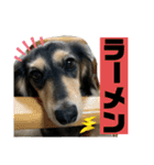 【もさく】（個別スタンプ：31）