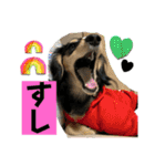 【もさく】（個別スタンプ：32）