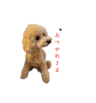 chao 2025（個別スタンプ：7）
