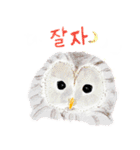 とりさんのひと言 韓国語 ver.（個別スタンプ：3）