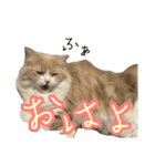 うるわしのティア（個別スタンプ：5）