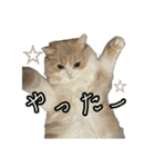 うるわしのティア（個別スタンプ：11）