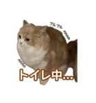うるわしのティア（個別スタンプ：20）