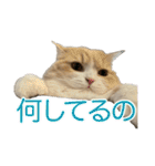 うるわしのティア（個別スタンプ：22）