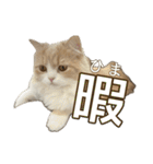 うるわしのティア（個別スタンプ：24）
