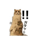 うるわしのティア（個別スタンプ：26）