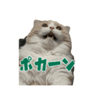 うるわしのティア（個別スタンプ：27）