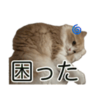 うるわしのティア（個別スタンプ：30）