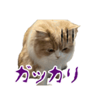 うるわしのティア（個別スタンプ：32）
