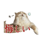 うるわしのティア（個別スタンプ：33）