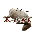 うるわしのティア（個別スタンプ：36）