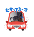 猫もものスタンプ（個別スタンプ：6）