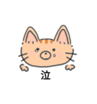 手書き猫のイラストスタンプ（個別スタンプ：9）