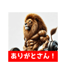筋トレマッチョライオン！札幌バージョン（個別スタンプ：39）