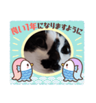 猫ウニ（個別スタンプ：1）